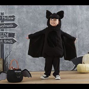 Pottery barn kids bat costume 6-12m